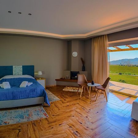 Atrium Vinea Brintziki Winery Daire Smila Dış mekan fotoğraf