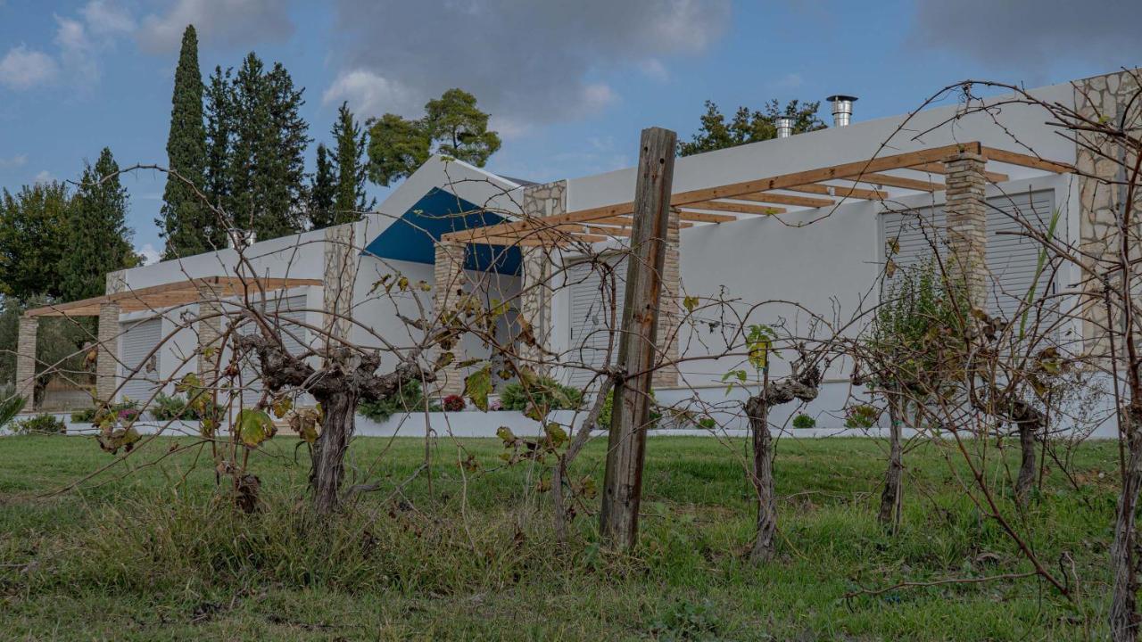 Atrium Vinea Brintziki Winery Daire Smila Dış mekan fotoğraf