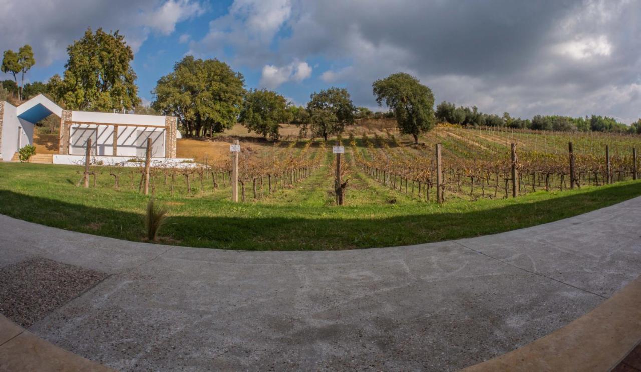 Atrium Vinea Brintziki Winery Daire Smila Dış mekan fotoğraf