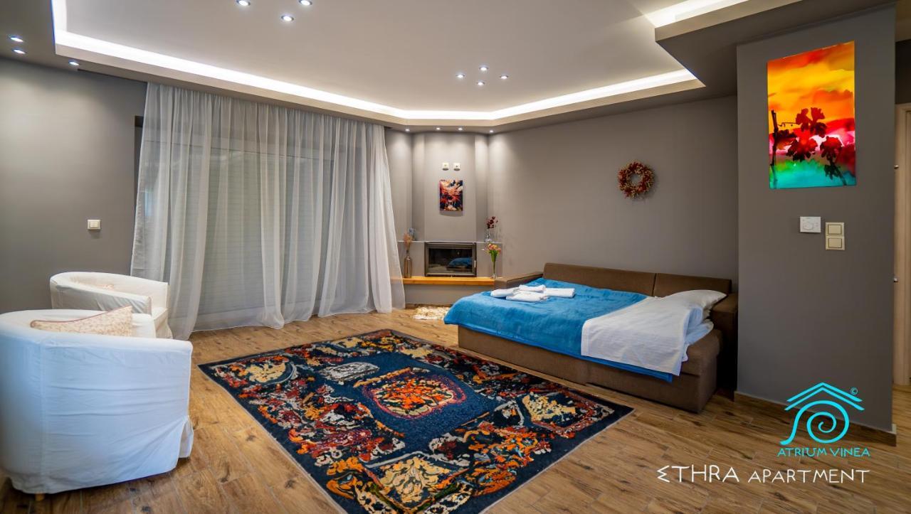 Atrium Vinea Brintziki Winery Daire Smila Dış mekan fotoğraf