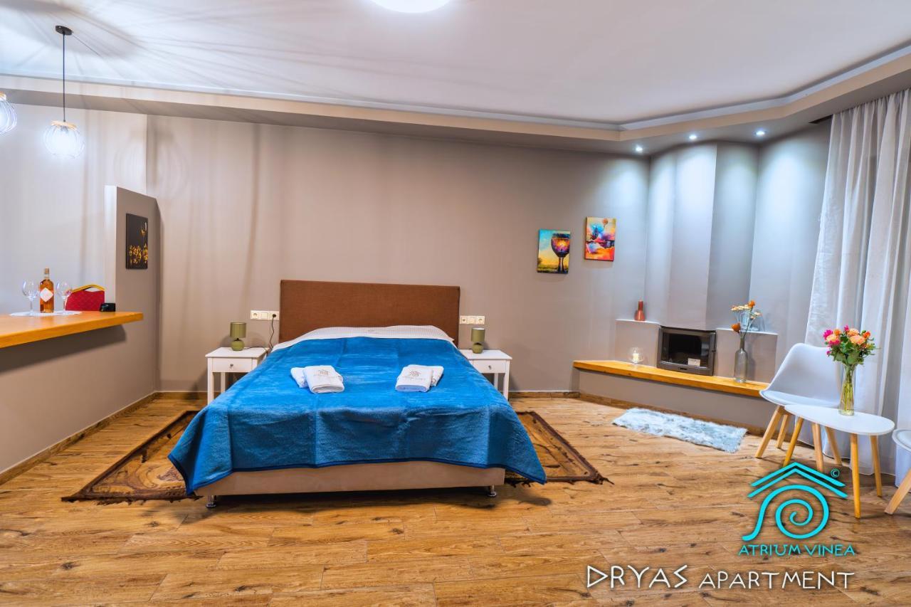Atrium Vinea Brintziki Winery Daire Smila Dış mekan fotoğraf
