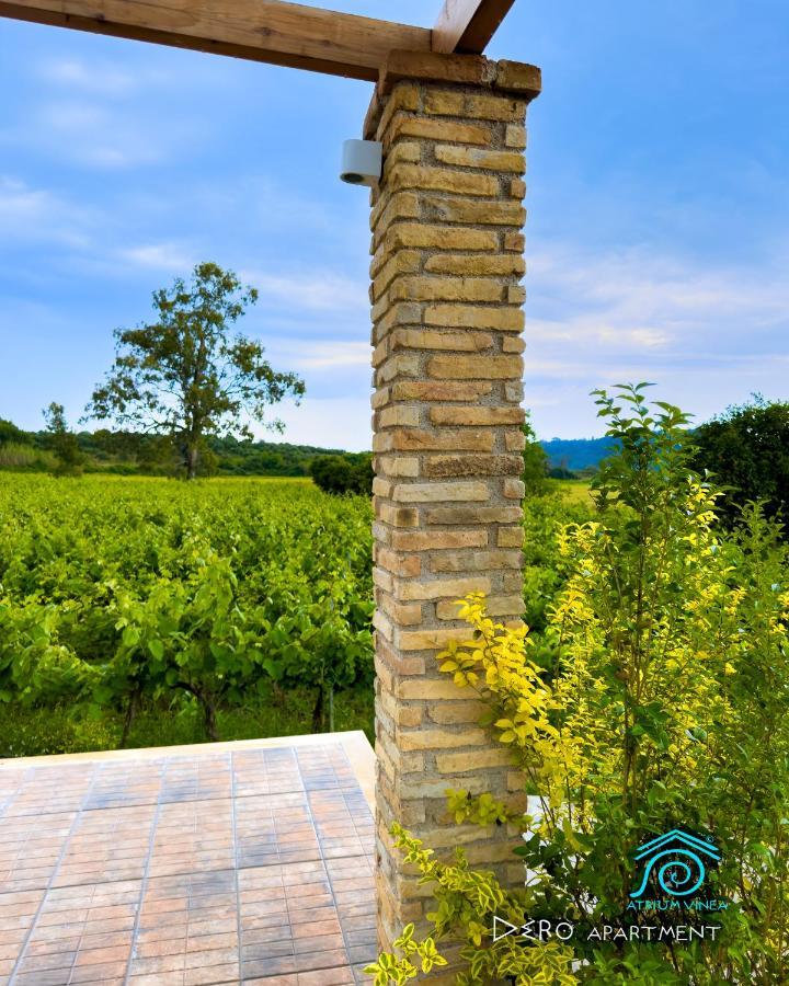 Atrium Vinea Brintziki Winery Daire Smila Dış mekan fotoğraf